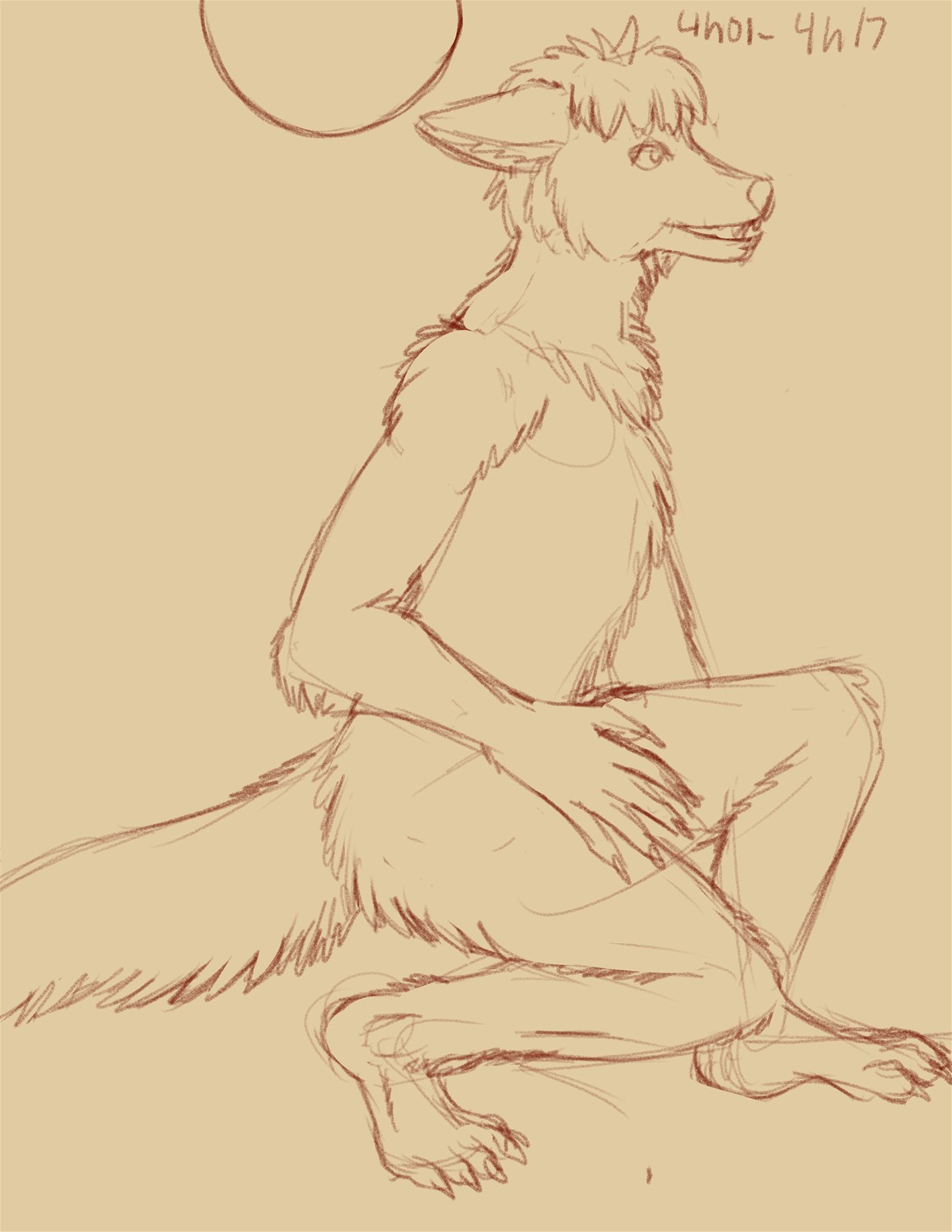 Commission: Feral Wolf to Anthro by Fringedog