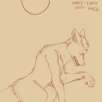 Sequence Image 2