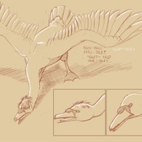 Sequence Image 7