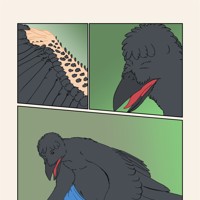 Sequence Image 3