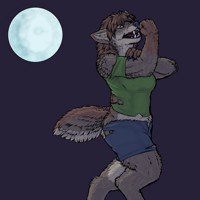 Sequence Image 4