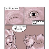 Sequence Image 4