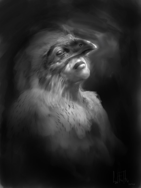 birdthing by Gryf