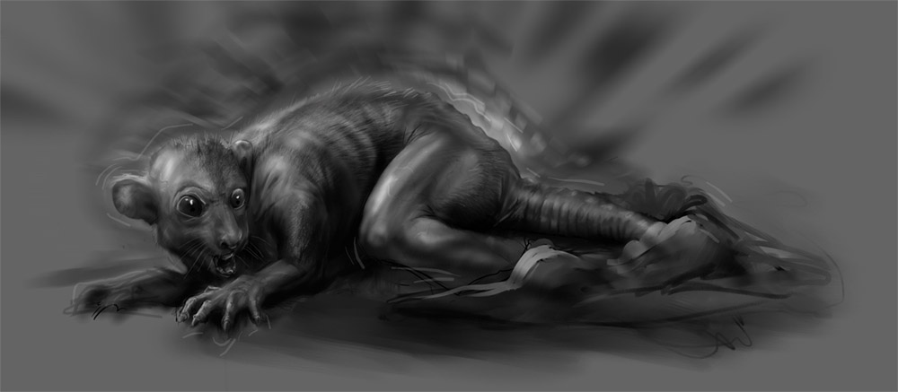 ratamorphosis by Gryf