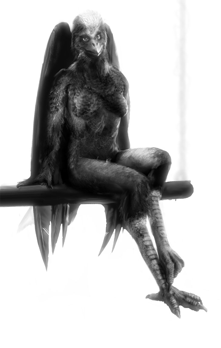 shali by Gryf