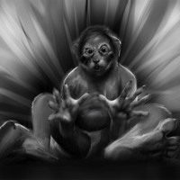 coonwhoa by Gryf