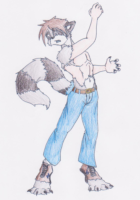 Coonish by Halfwing