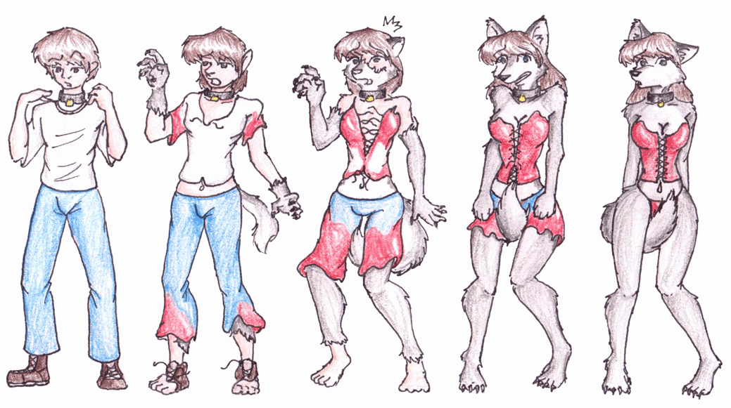 RidingWolf by Halfwing