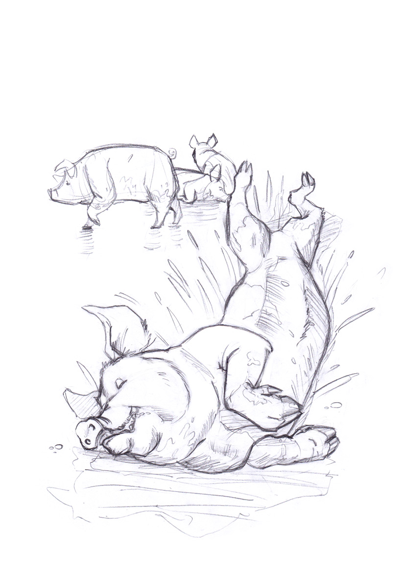 Commission: Pig transformation sequence by HamsterToybox
