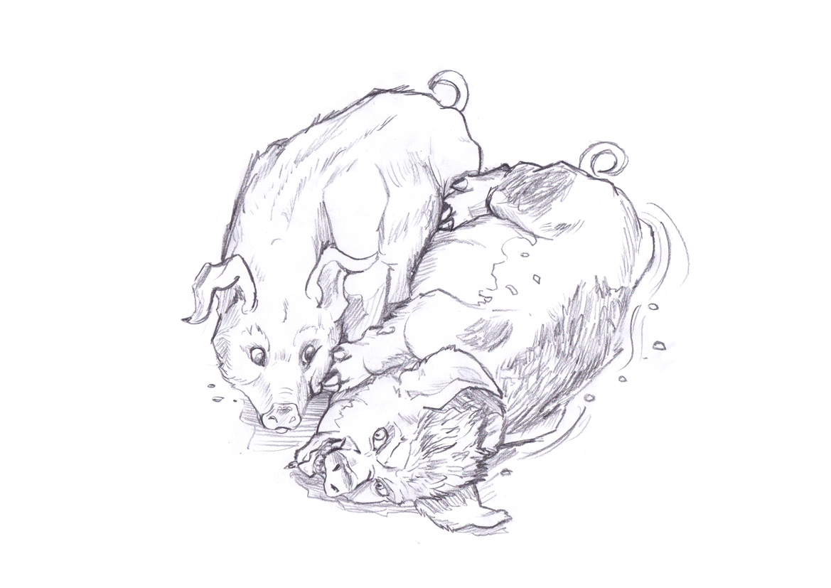 The Pig Witch by HamsterToybox