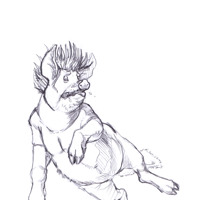 Sequence Image 7