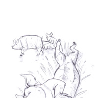 Sequence Image 9