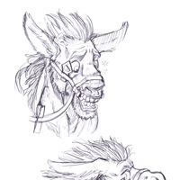 Sequence Image 8