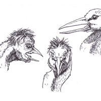 Sequence Image 4