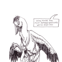 Sequence Image 5