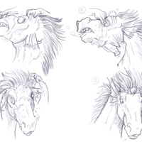 Sequence Image 18