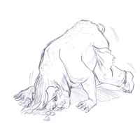 Sequence Image 13