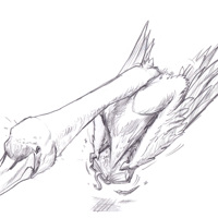 Sequence Image 16