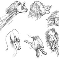 Sequence Image 12