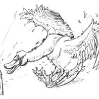 Sequence Image 14