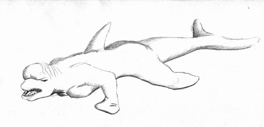 dolphin by Huginn