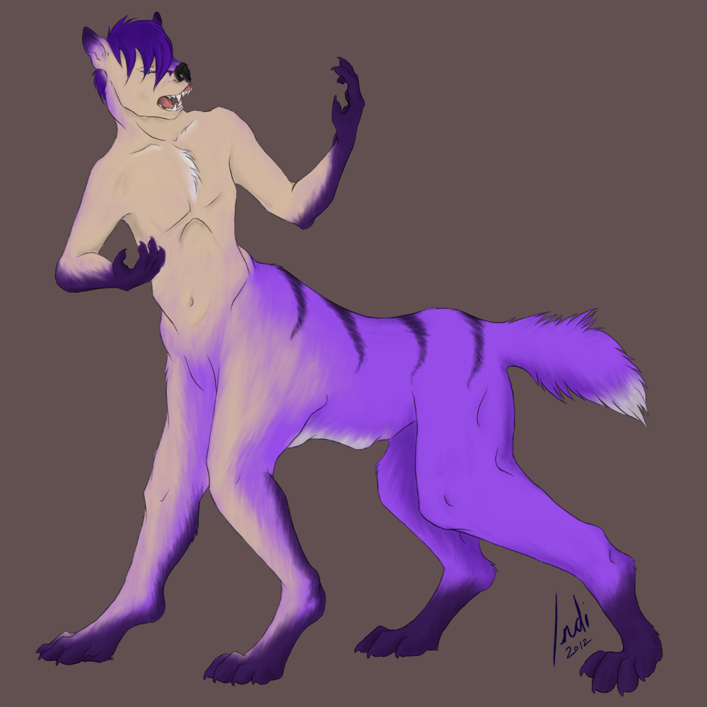 Kairothefox Sketch by IndiWolf