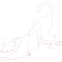 Sequence Image 5