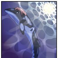 Sequence Image 5