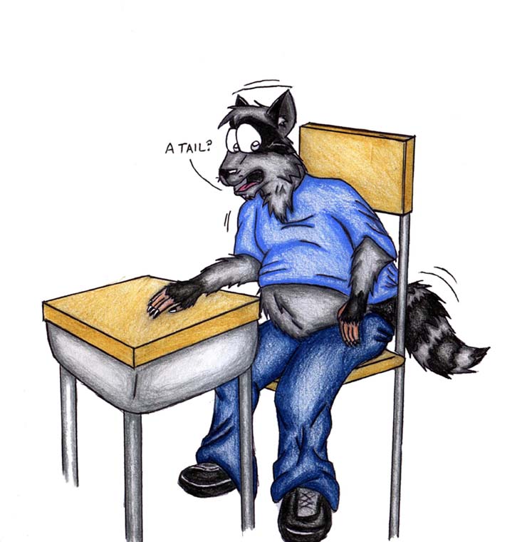 raccoon by JWB