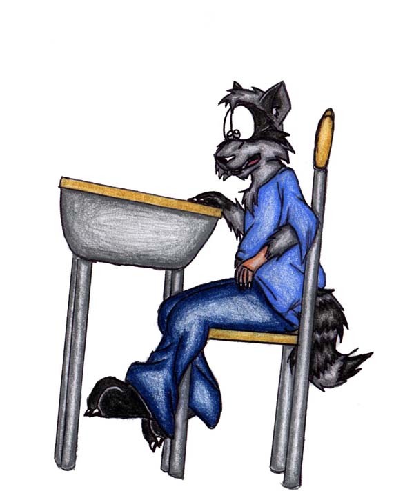 raccoon by JWB