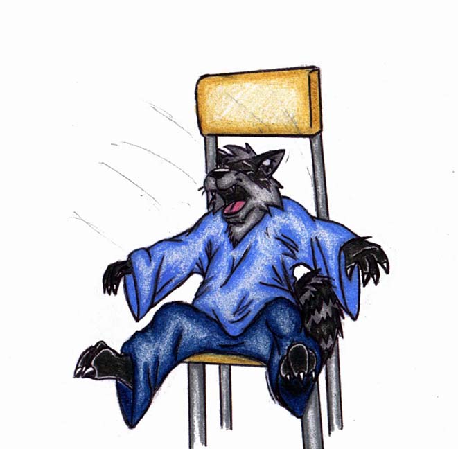 raccoon by JWB