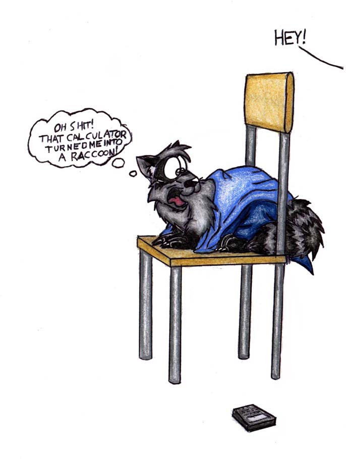 raccoon by JWB
