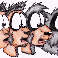 Sequence Image 7