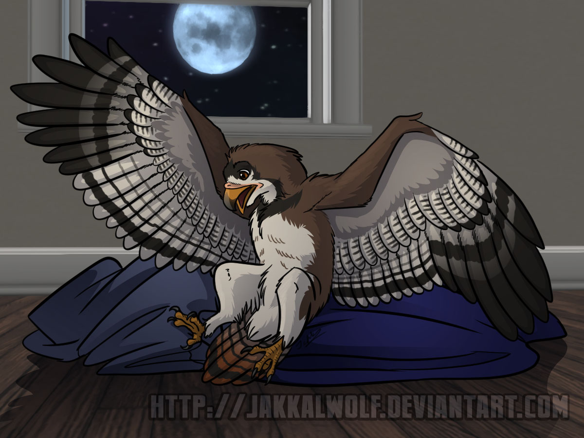 OSC: First time? Just wing it! by Jakkal