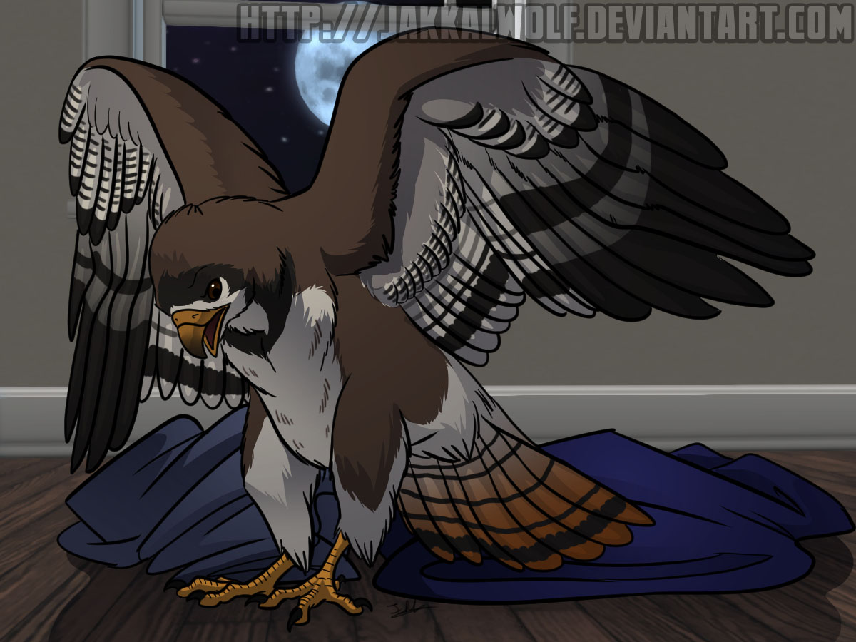 OSC: First time? Just wing it! by Jakkal