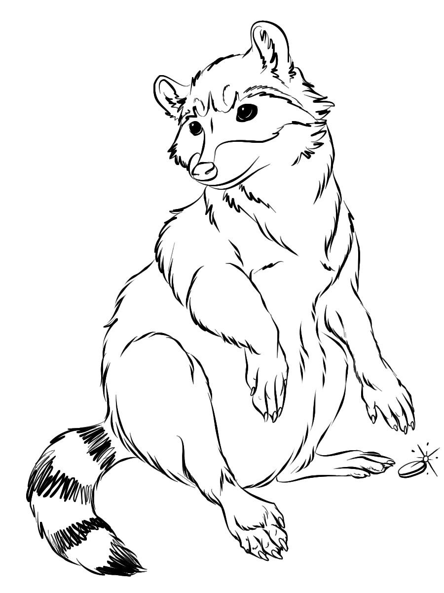 Raccoon to Anthro Raccoon by Jakkal