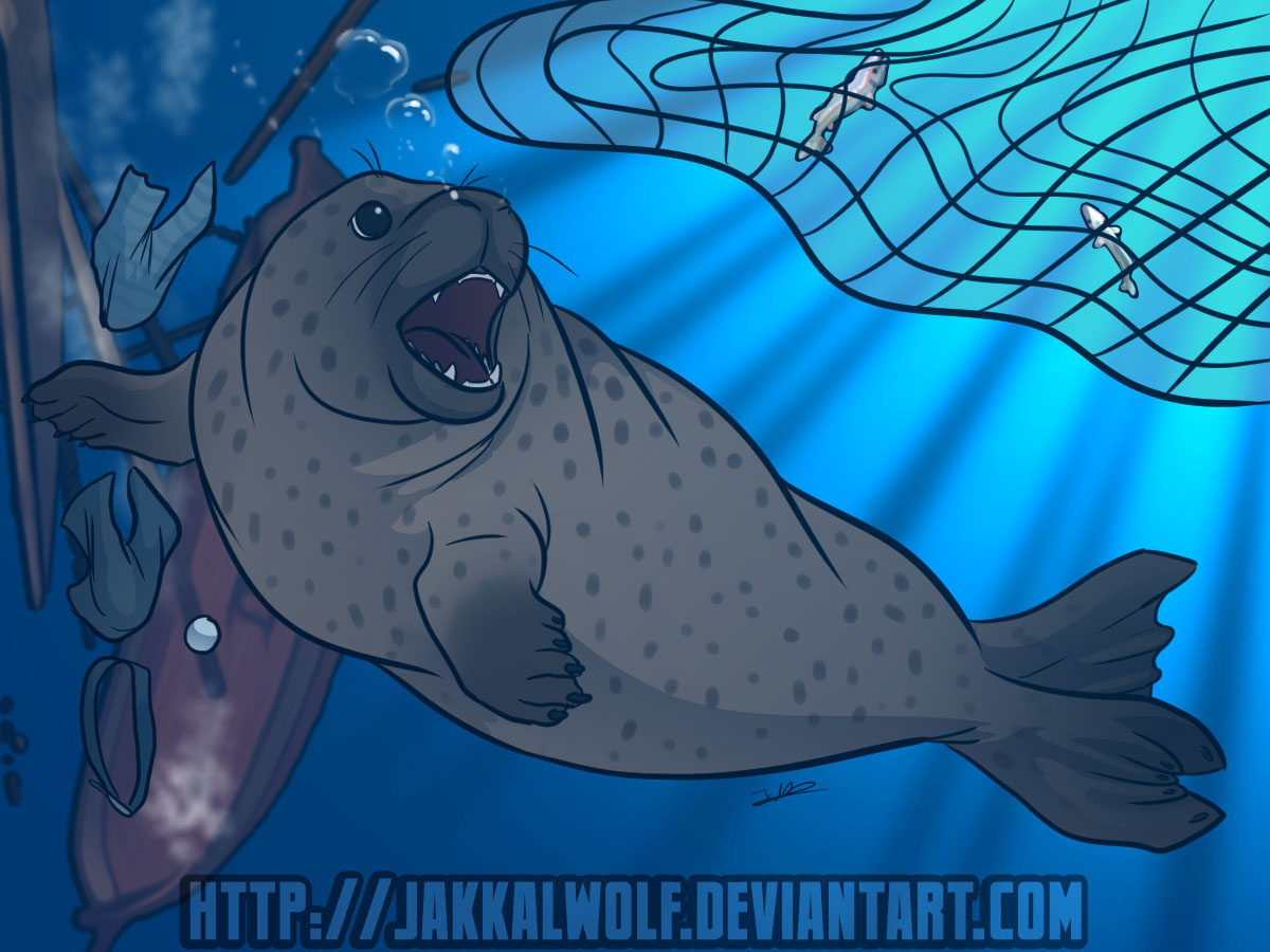 OSC: Sequence: Sealed Fate by Jakkal