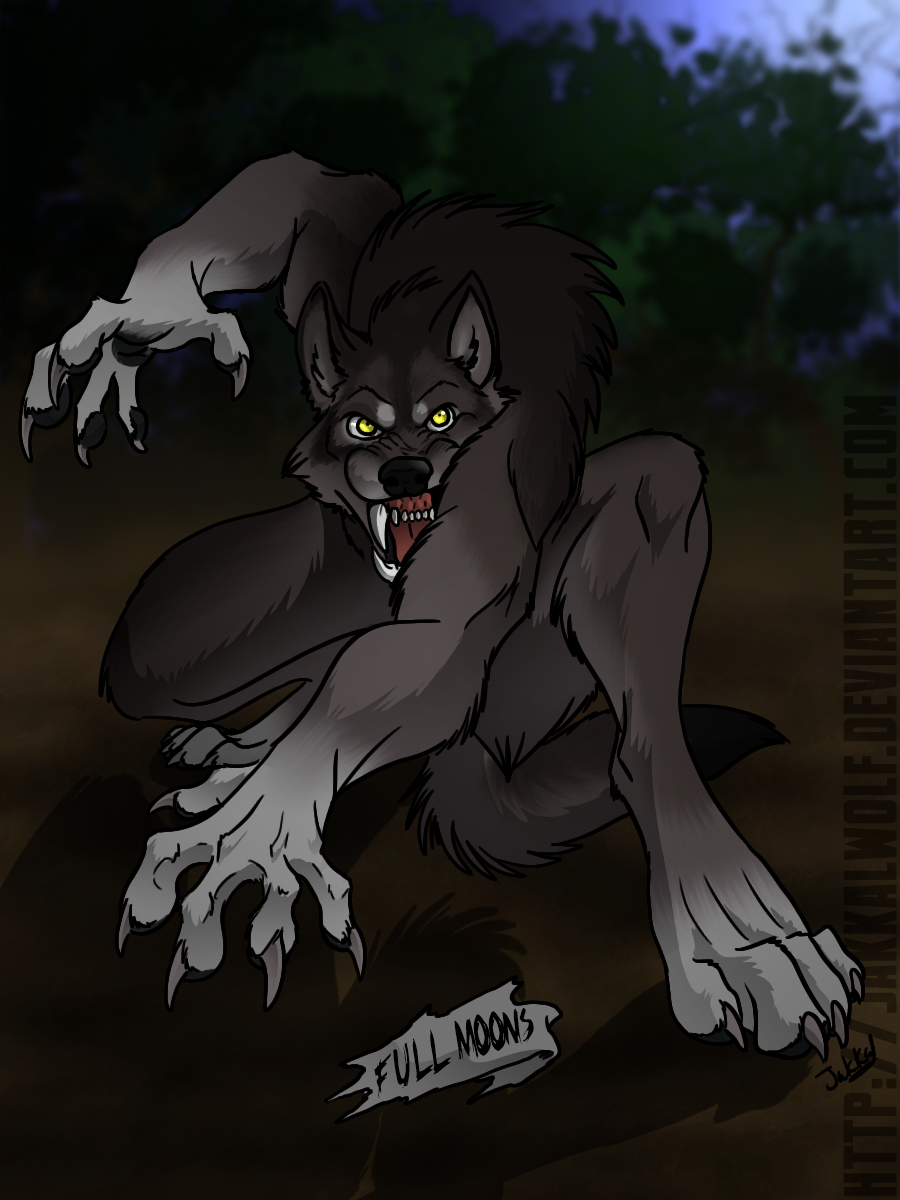 Werewolf Transformation for W0lfB0y by Jakkal