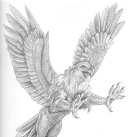 Sequence Image 5