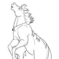 Sequence Image 8