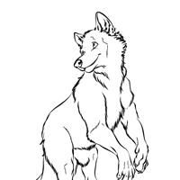 Sequence Image 2