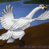 Sequence Image 5