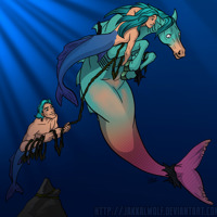 Sequence Image 6