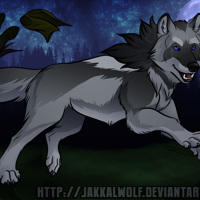 Sequence Image 3