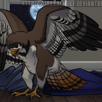 Sequence Image 6