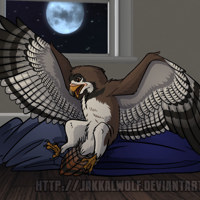 Sequence Image 5