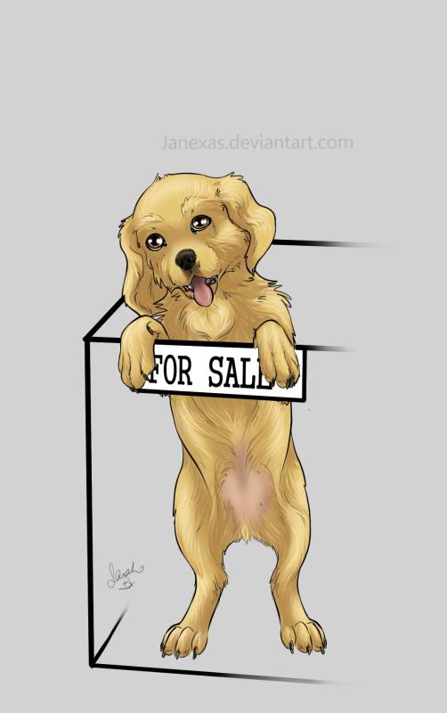 11 Stage Christmas Puppy by Janexas