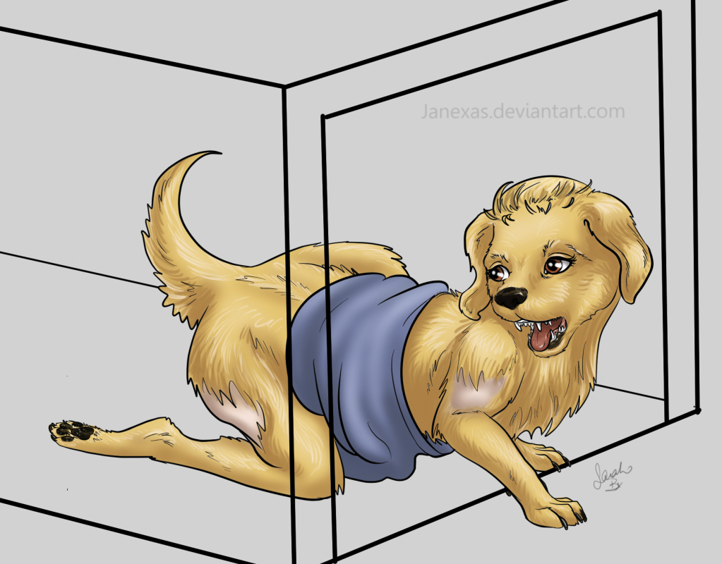 11 Stage Christmas Puppy by Janexas