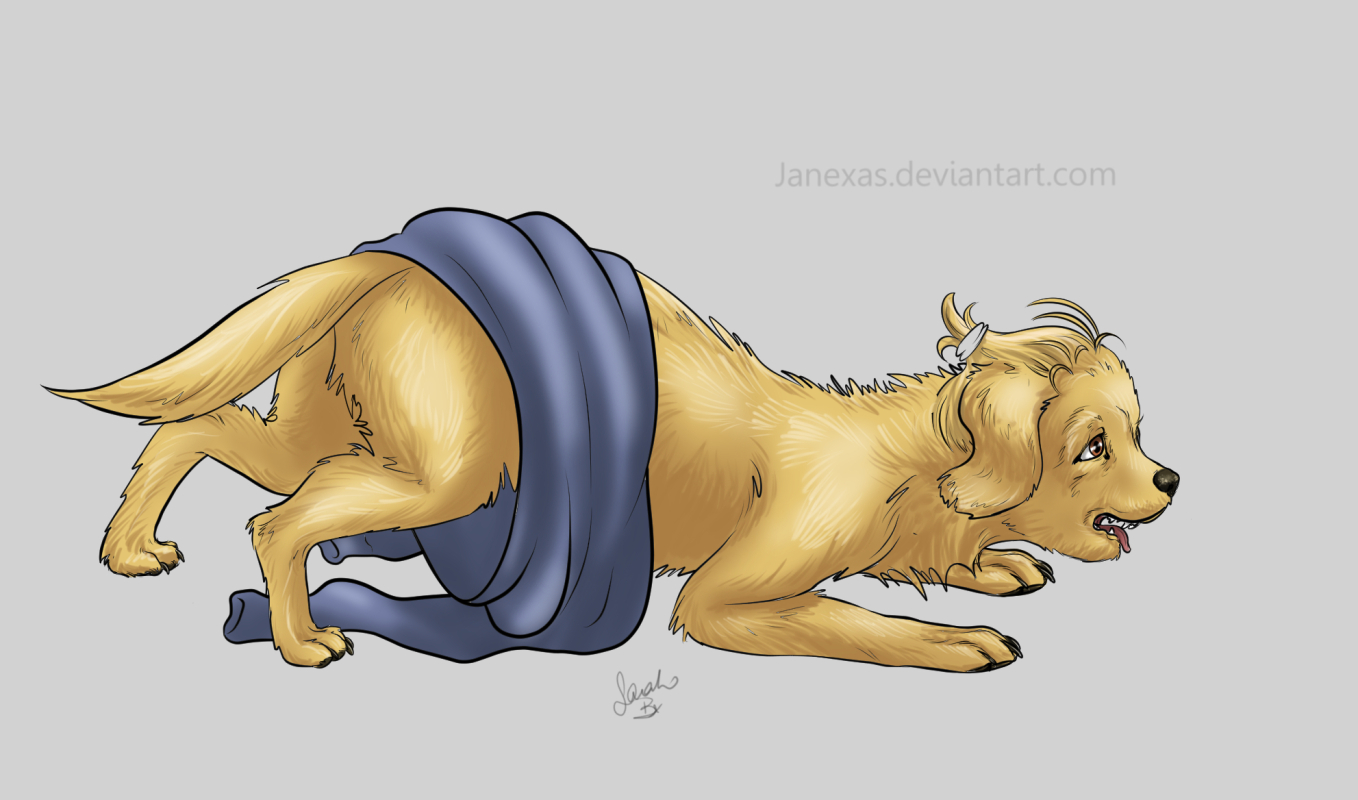 11 Stage Christmas Puppy by Janexas