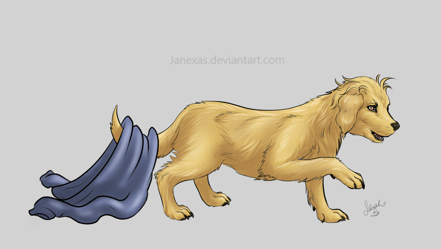 11 Stage Christmas Puppy by Janexas